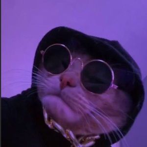 Meet your Posher, Diana